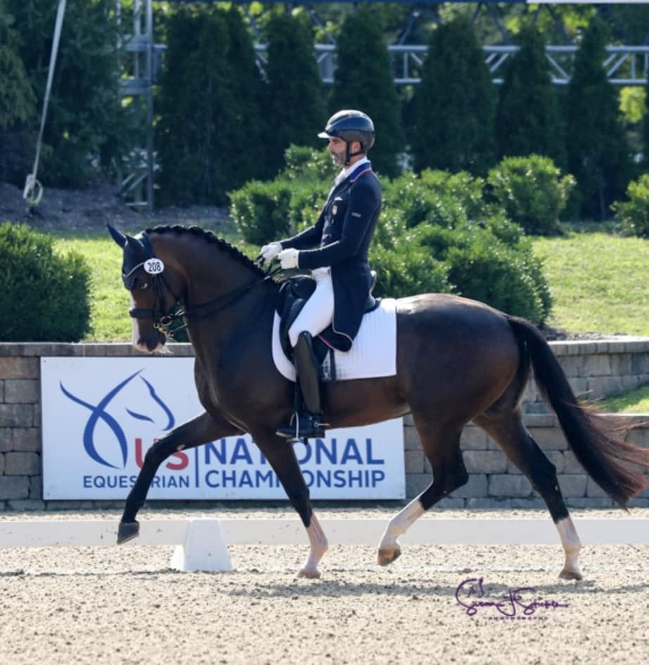 Person riding a horse